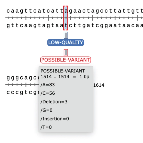 genbank file